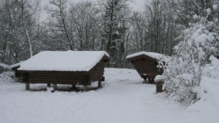 Vinter