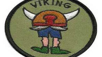 Billede sf vikingemærket